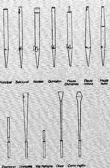 Orga3.jpg (20910 bytes)